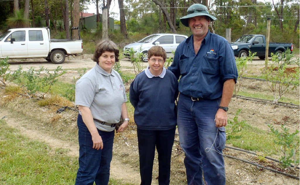 New Horizons staff Sue Ellsmore and Julie Morton with Lindsay Miller at the CostaExchange berry farm. New Horizons staff Sue Ellsmore and Julie Morton with Lindsay Miller at the CostaExchange berry farm.